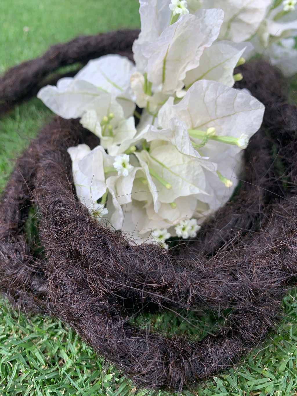 The Locs Behind The Fairy Queen of&nbsp;Dreads